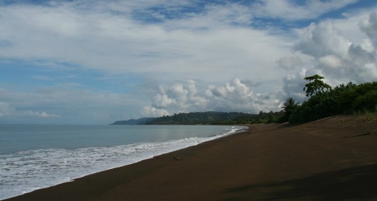 IMG_0822_costarica_drakebay_day4_beach2