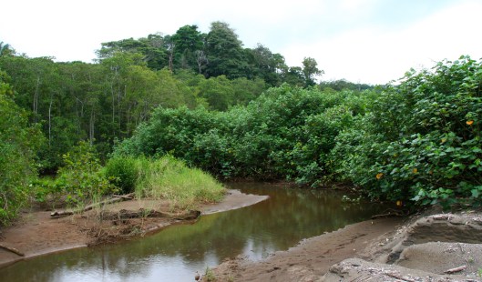 IMG_0885_costarica_drakebay_day4_beachriver1