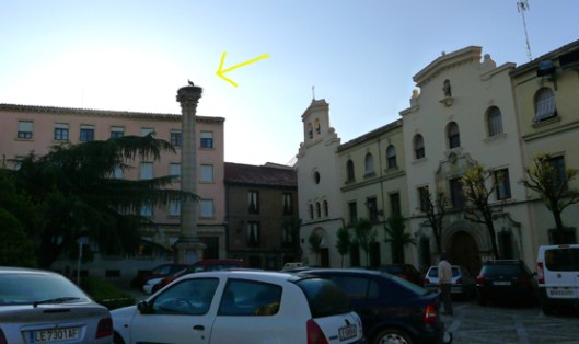 2011 camino spain leon to camino duro 103_Day2_Leon_StorkColumn_Arrow529