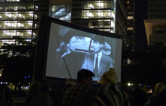 P1100649_2012_Aug1_TIFFInThePark_screen700